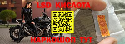 стаф Гатчина