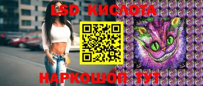 стаф Гатчина