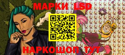 стаф Гатчина