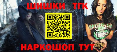 стаф Гатчина