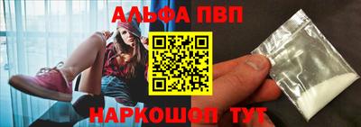 стаф Гатчина