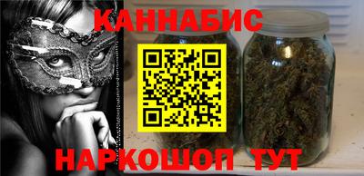 стаф Гатчина