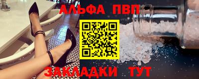 стаф Гатчина