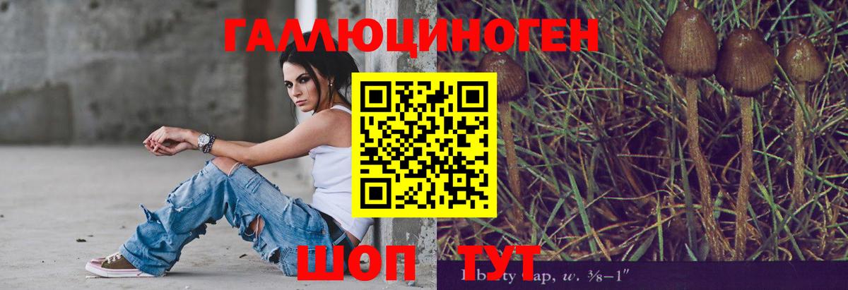 Долгопрудный  Галлюциногенные грибы Psilocybine cubensis  Вход с VPN 