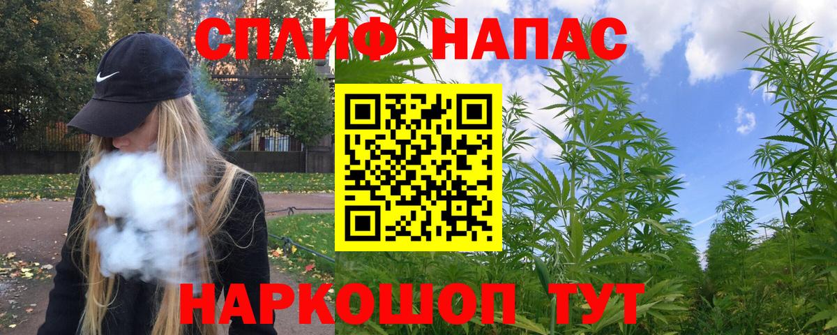 Бошки Шишки ГИДРОПОН Долгопрудный